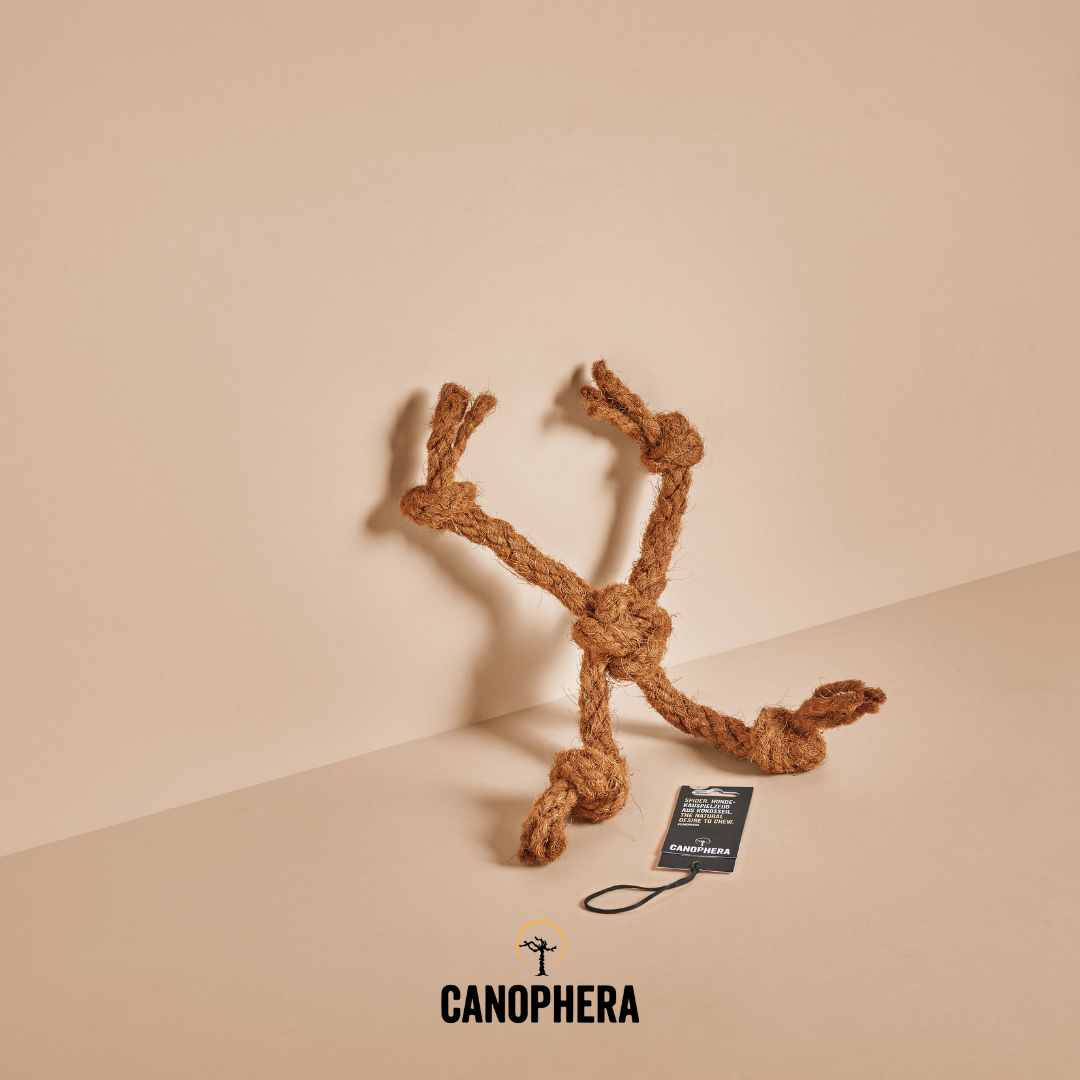 Dog Toy Made Of Coconut Rope - CocoSpider