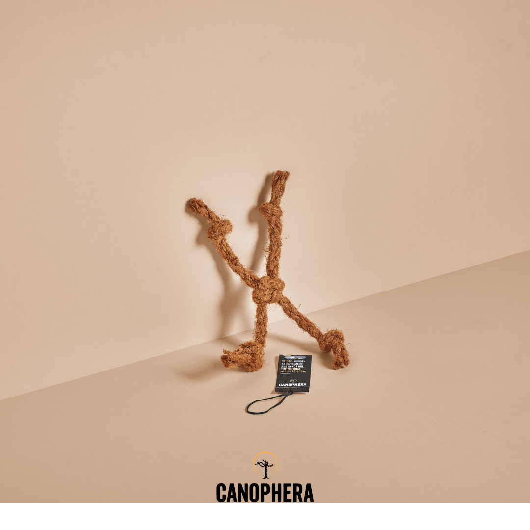 Dog Toy Made Of Coconut Rope - CocoSpider