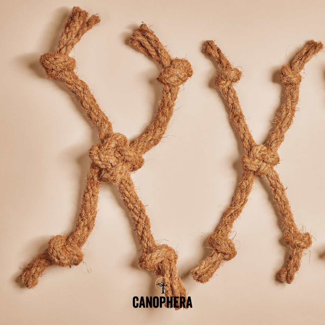 Dog Toy Made Of Coconut Rope - CocoSpider