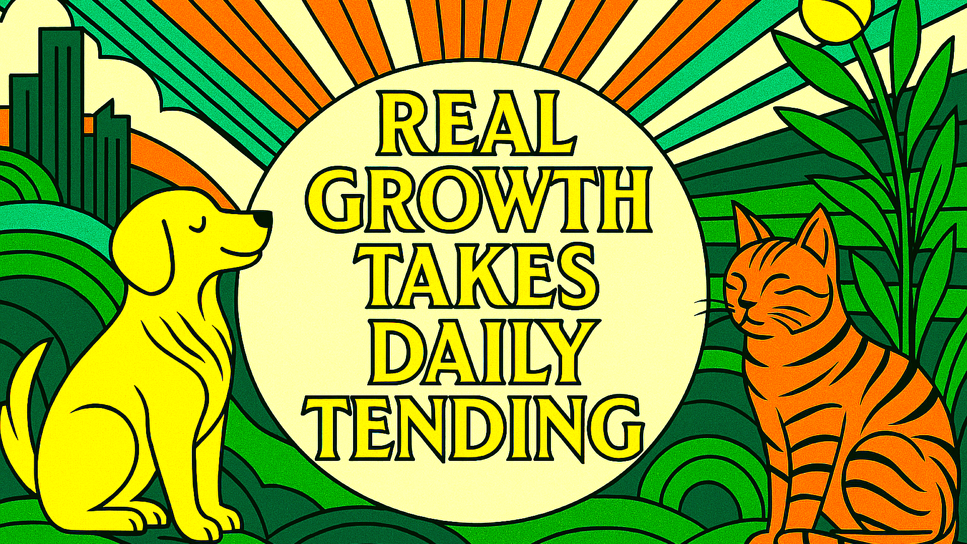 Welcome to the Pawsitivity Field: