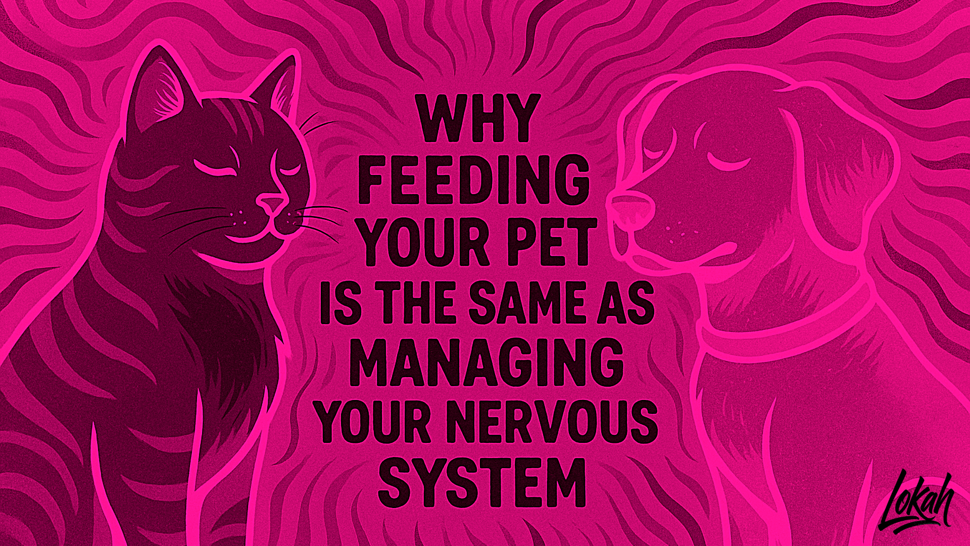 5 Reasons Why Feeding Your Pet Is the Same as Managing Your Nervous System