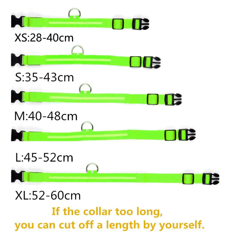 LED Dog Collar- Variety of Colors and Sizes!