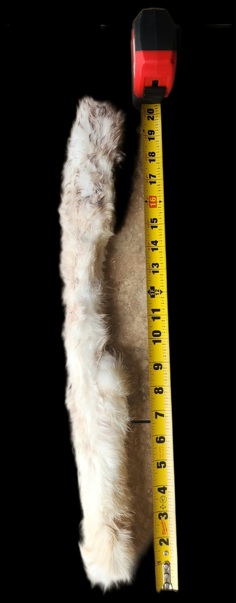 20in. Rabbit Skin w Fur Rolls