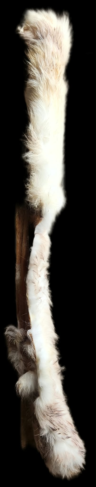 20in. Rabbit Skin w Fur Rolls