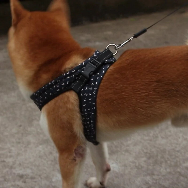 Stylish Secure Harness For Small To Medium Dogs