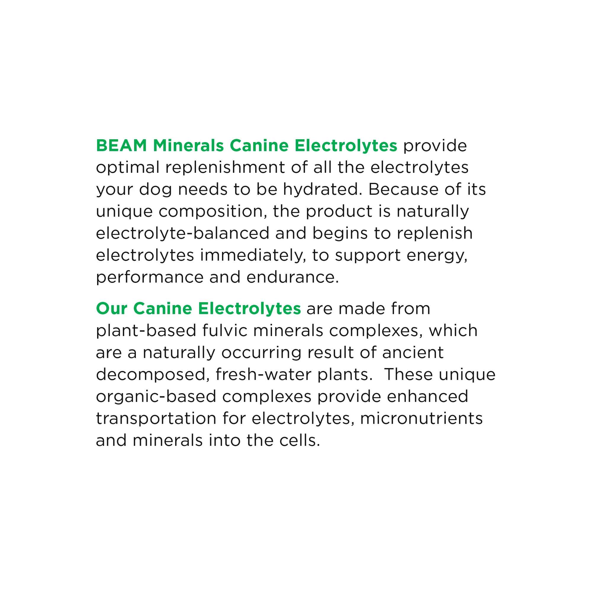 BEAM Canine Electrolytes