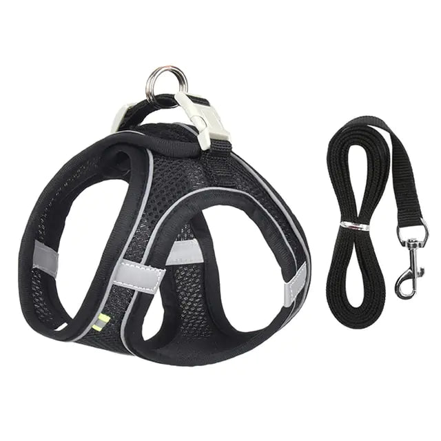 Harness+Leash Combo