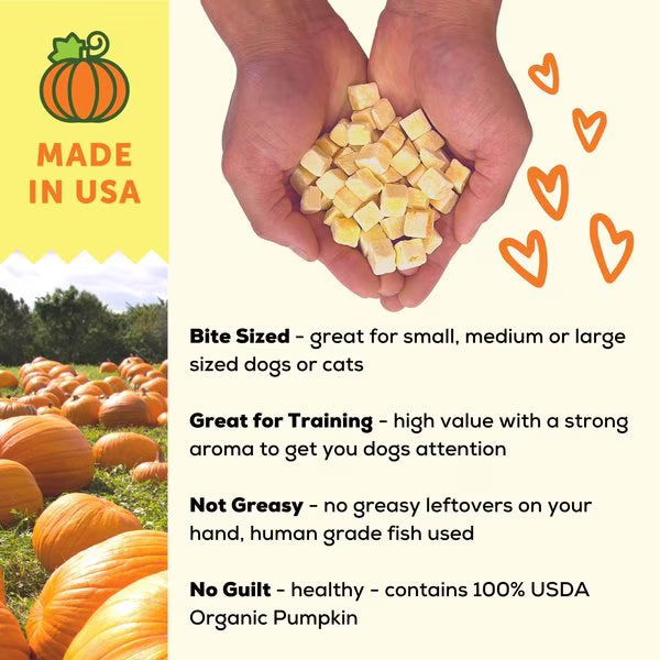 Pumpkin- Freeze-Dried