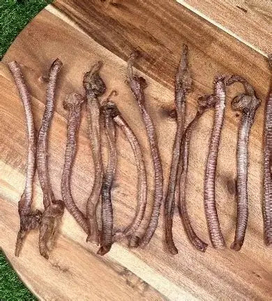 Single- Duck Trachea - Raw Bar