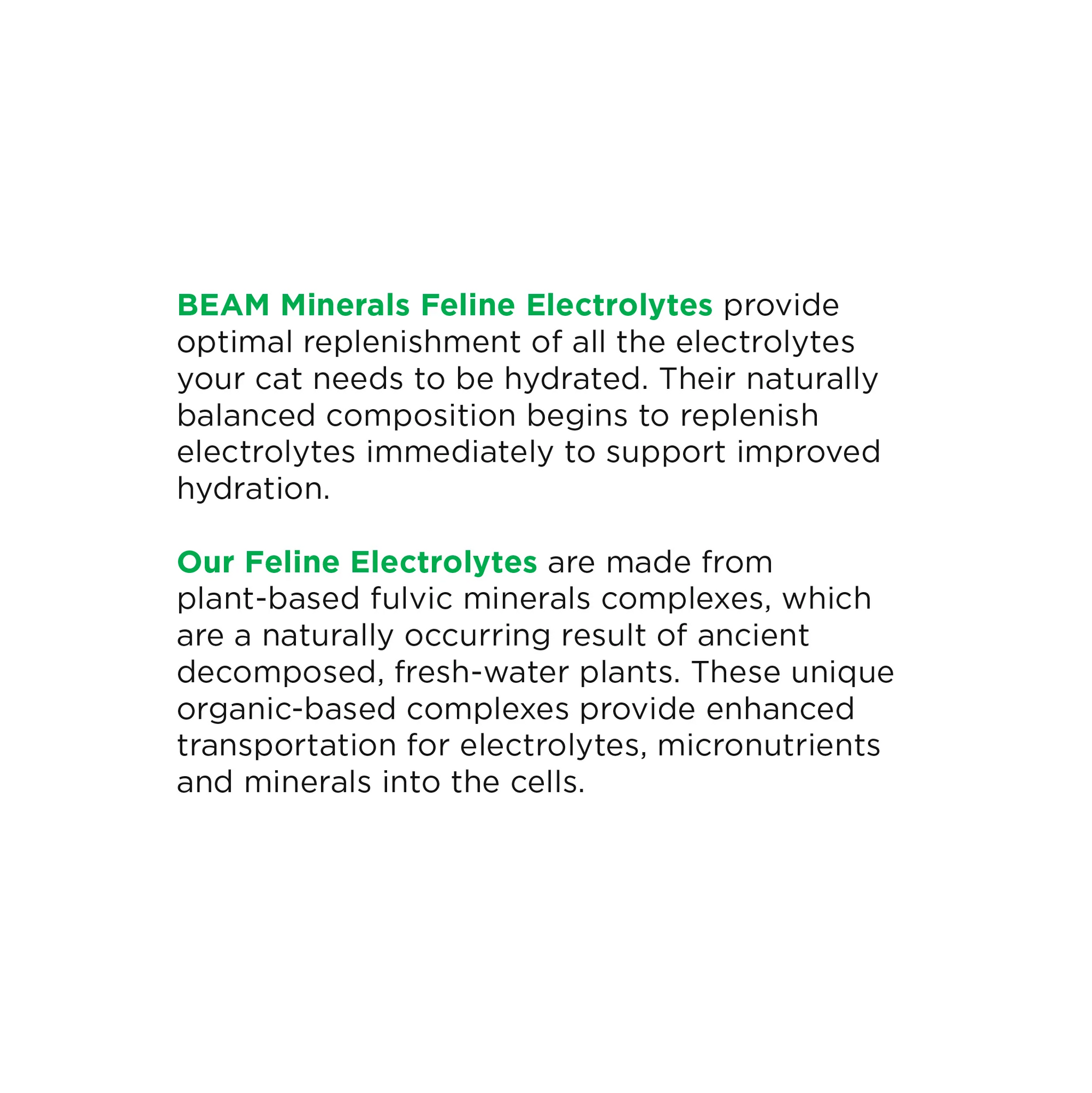 BEAM Feline Electrolytes