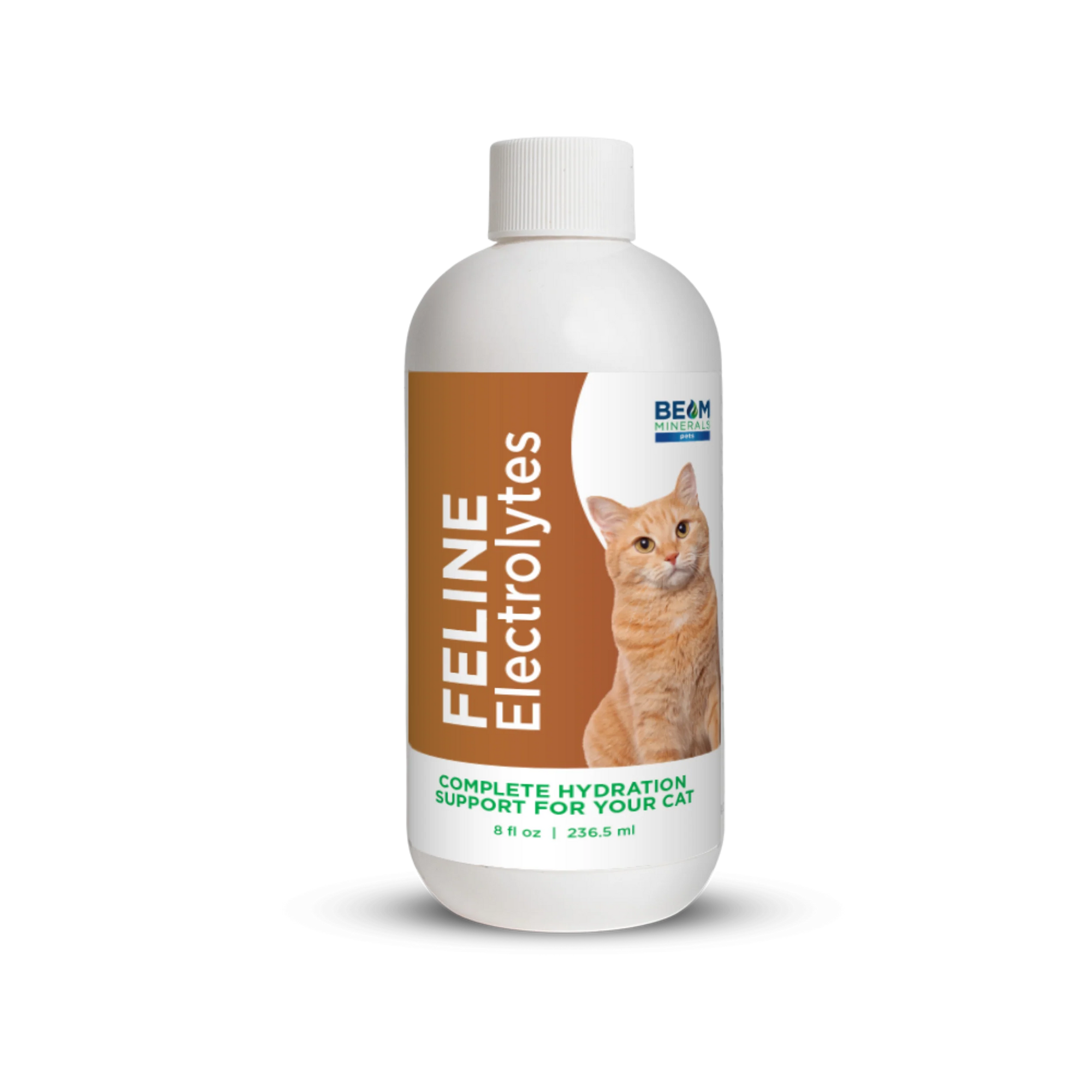 BEAM Feline Electrolytes