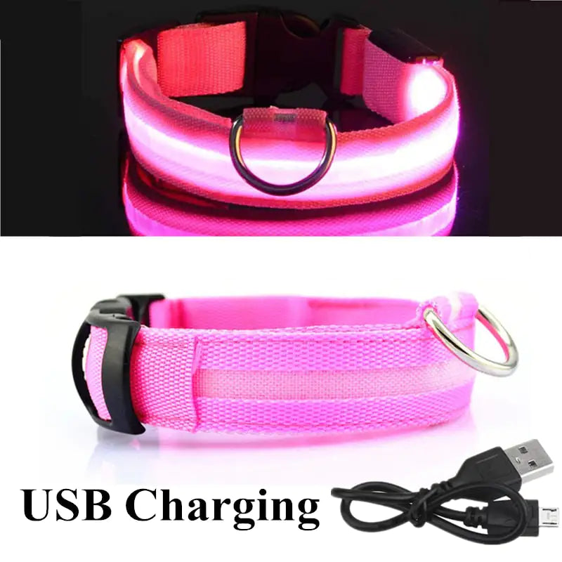 LED Dog Collar- Variety of Colors and Sizes!