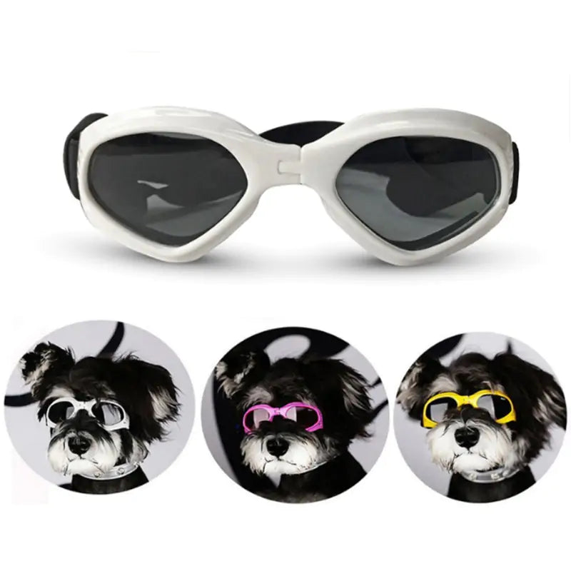 Dog Sunglasses - Eye Protection!