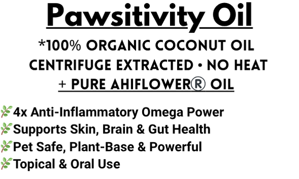 Pawsitivity Oil™️