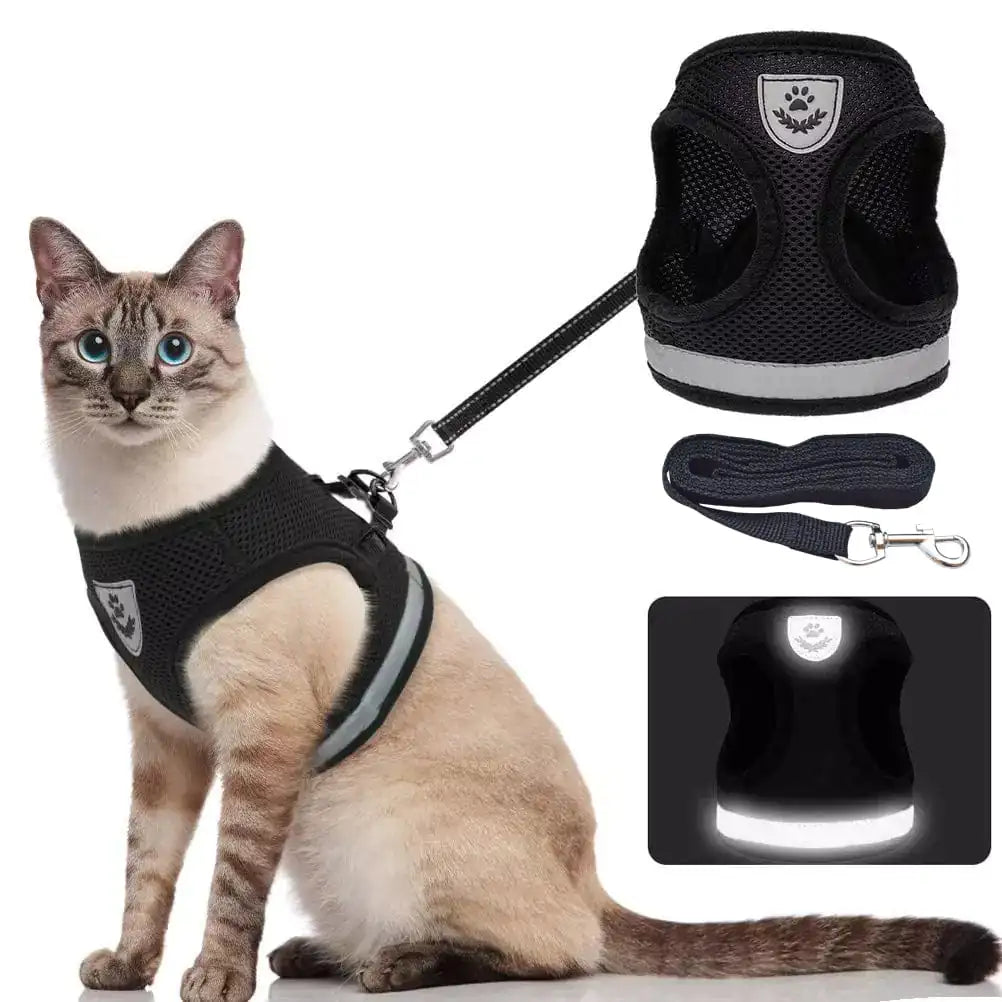 Lokah's Choice! CozyCat Pet Harness and Leash