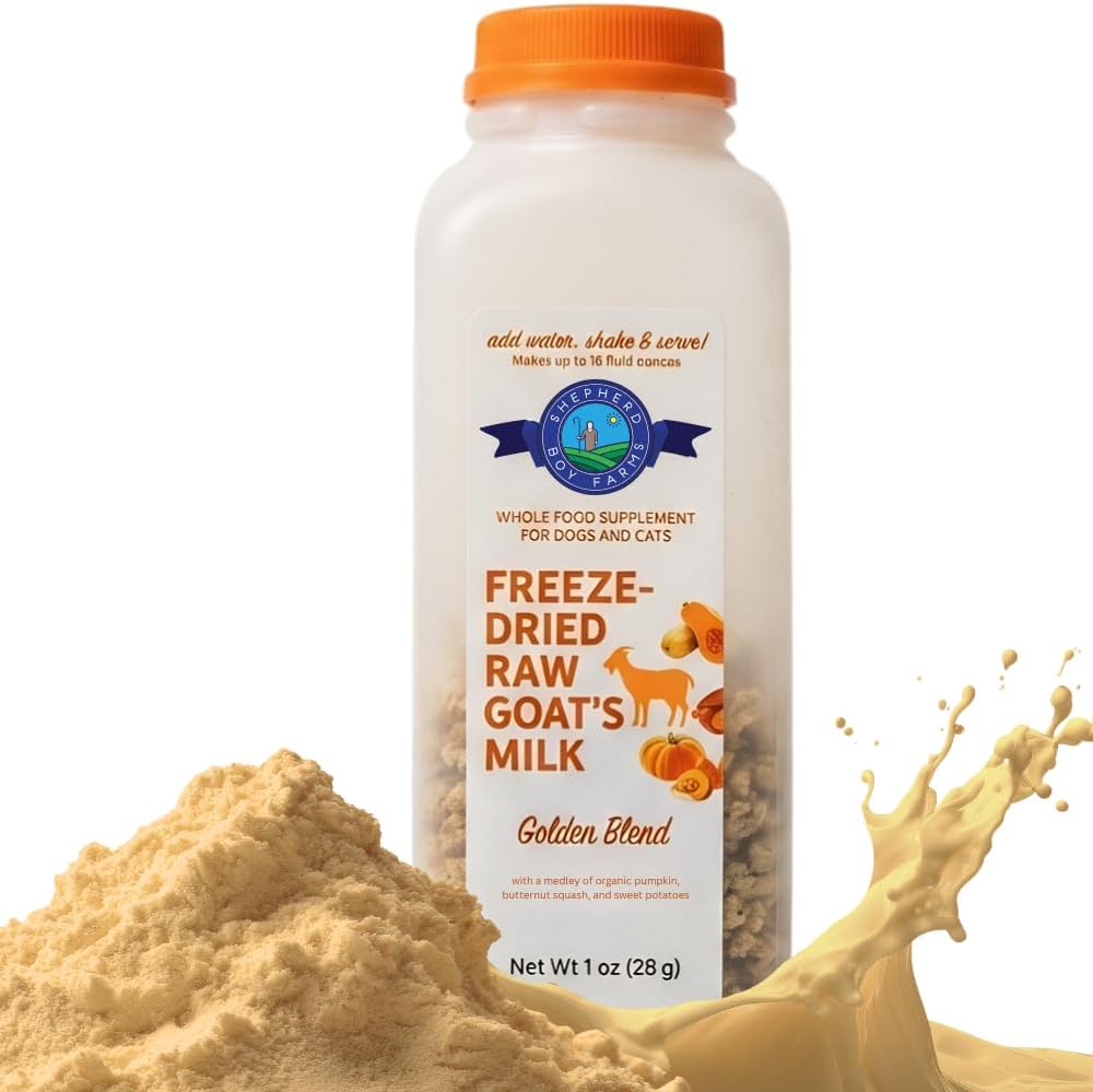 SBF GOLDEN Freeze-Dried Raw Goat Milk – Makes 16OZ