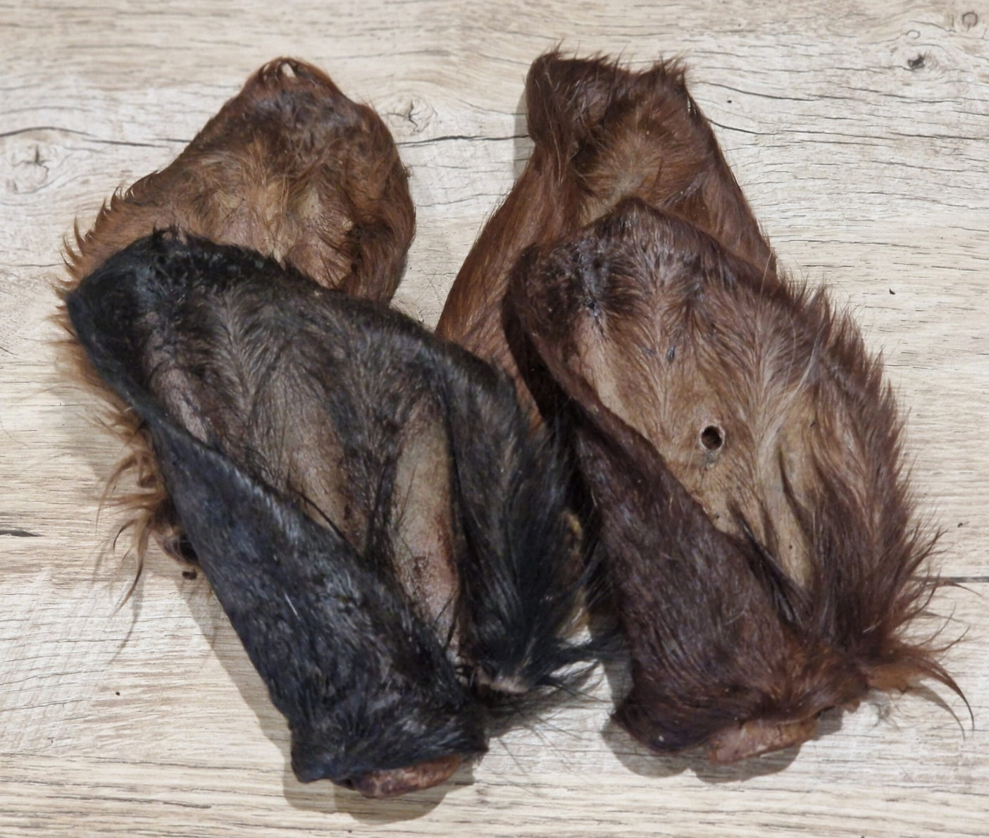 RAW Hairy Cow Ears