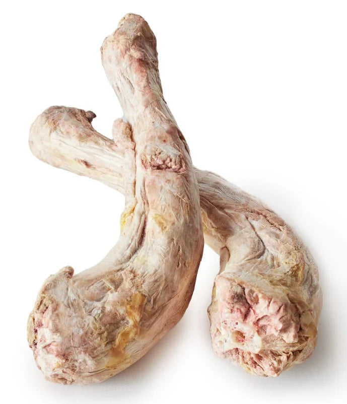 Single Freeze-Dried Turkey Neck- Raw Bar
