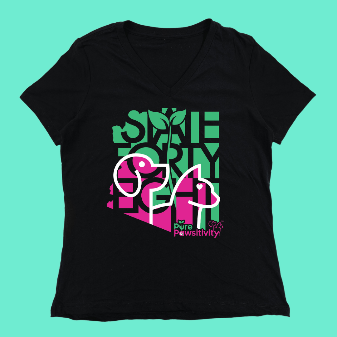*CLEARANCE!* V-neck T-shirt