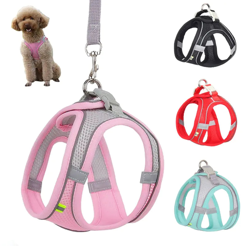 Harness+Leash Combo