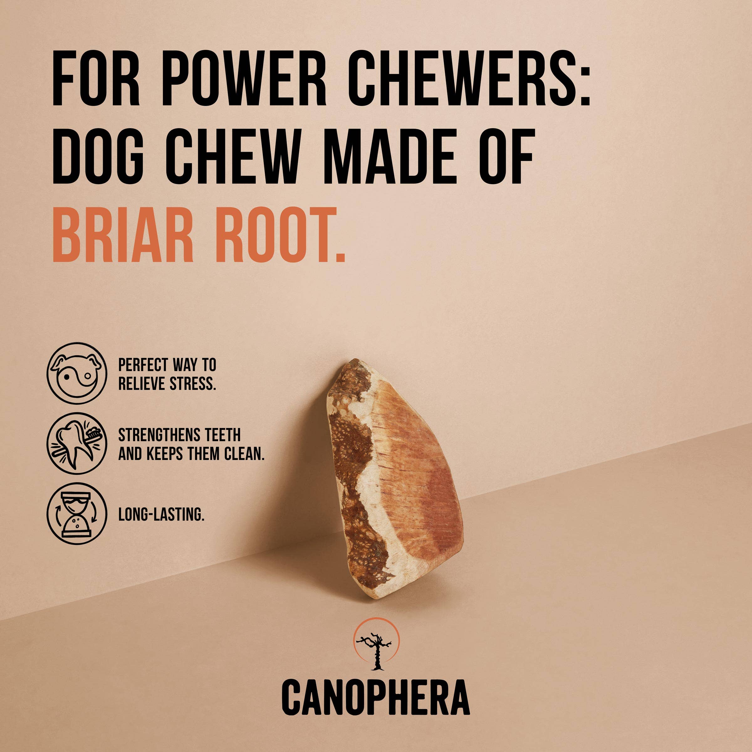 Dog Chew Made of Briar Root.