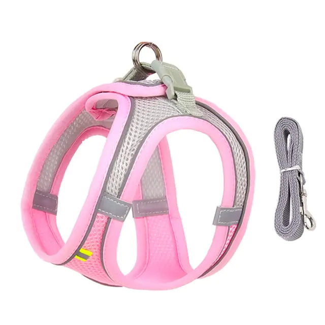 Harness+Leash Combo