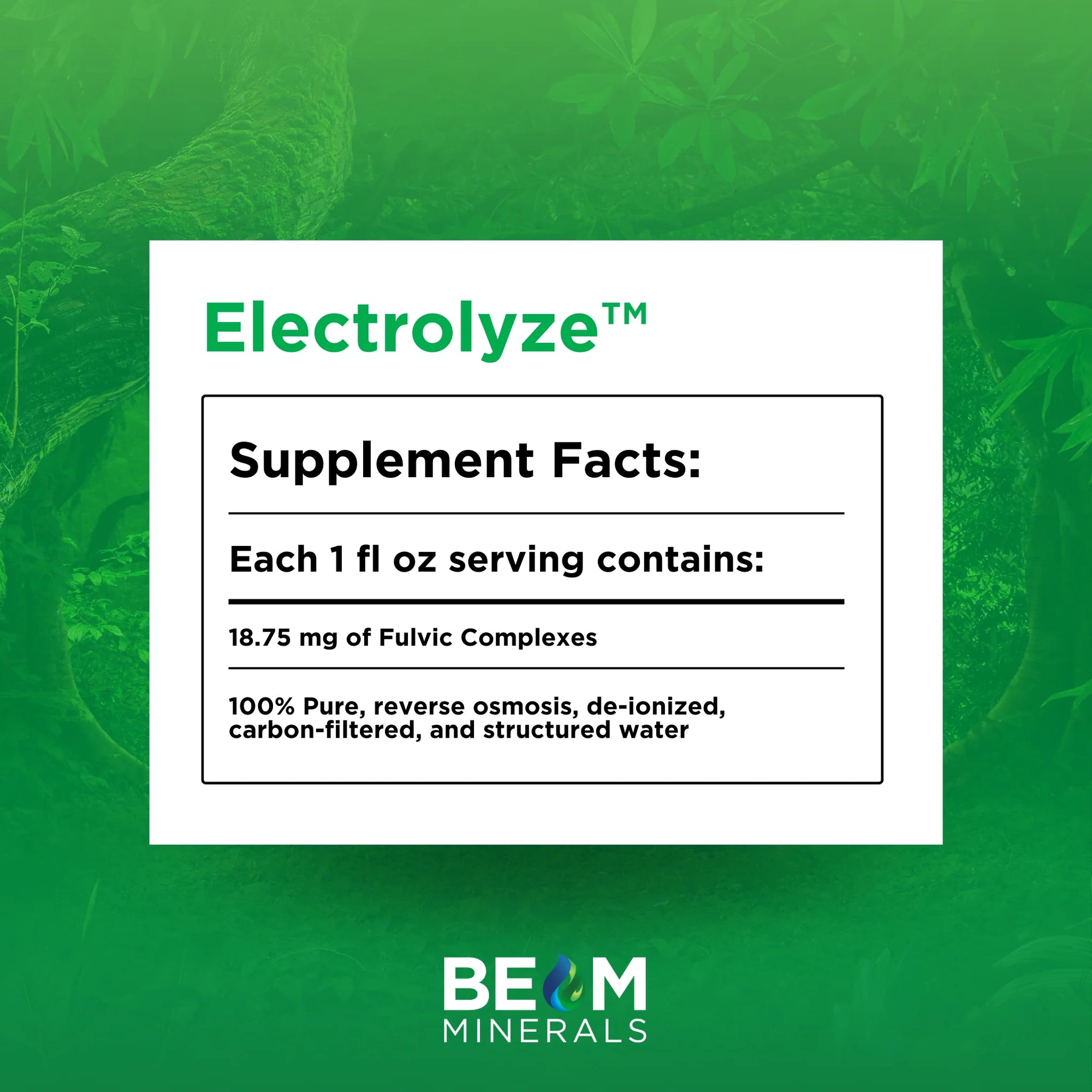 BEAM Electrolyze