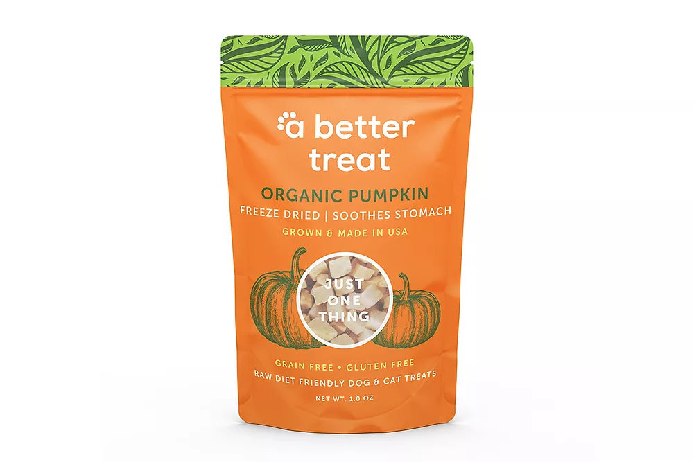 Pumpkin- Freeze-Dried