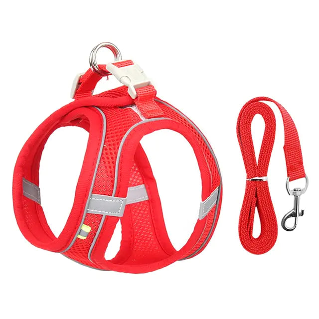 Harness+Leash Combo