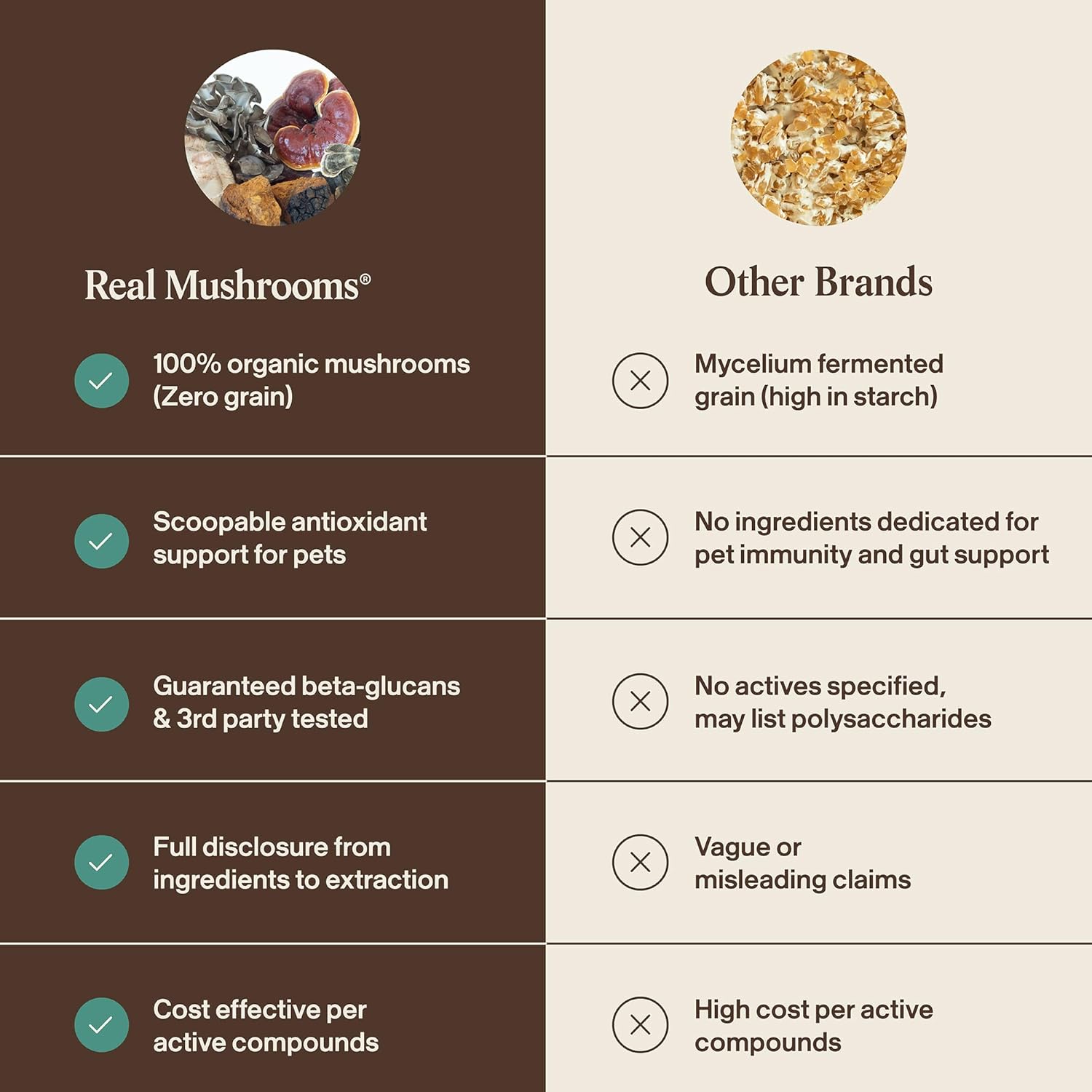 Real Mushrooms Lions Mayne+ Qrill