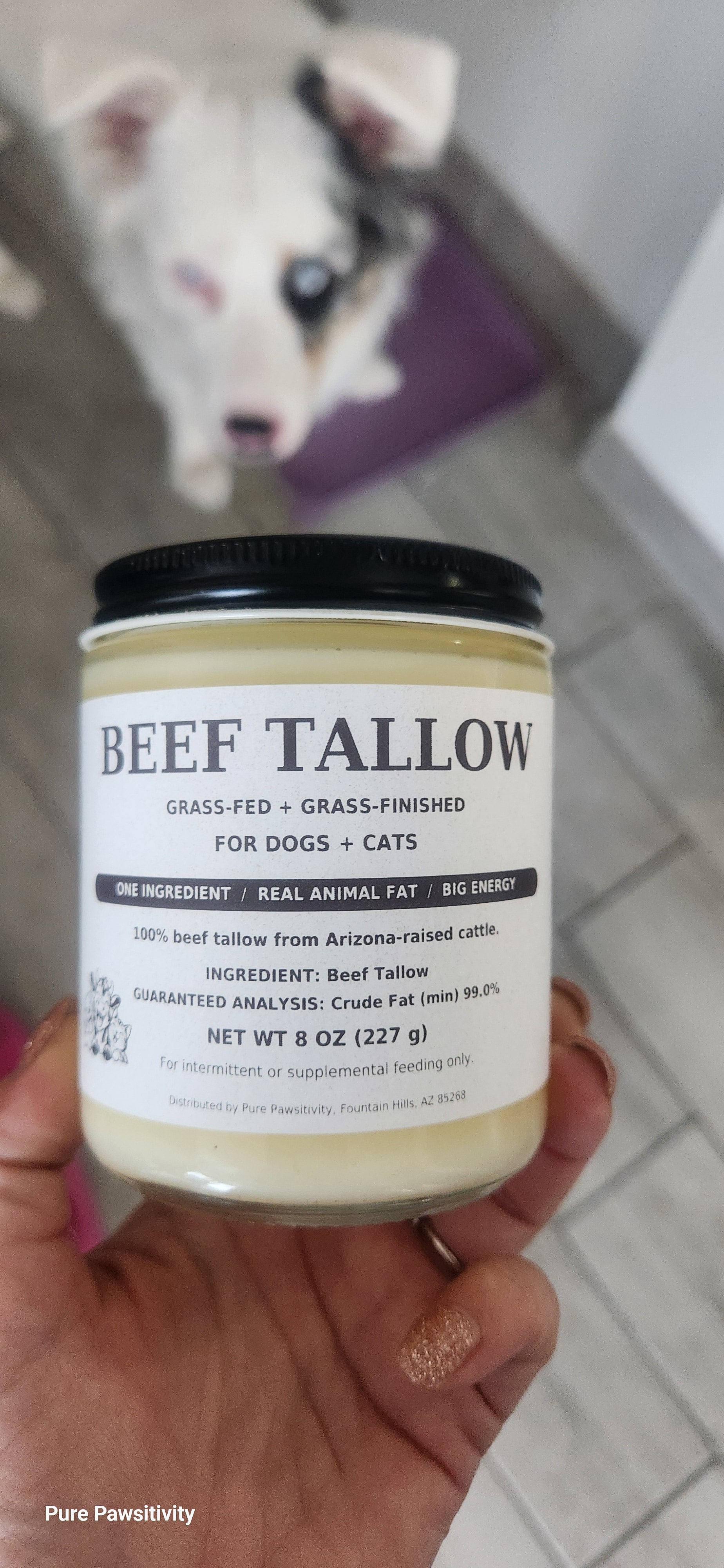 Grass-fed grass-finished AZ local BEEF TALLOW