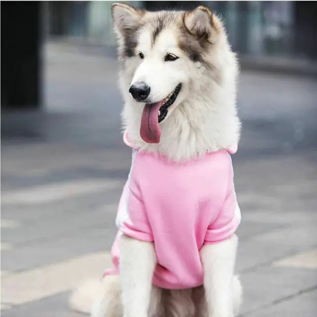 Dog Adidog Sport Hoodies