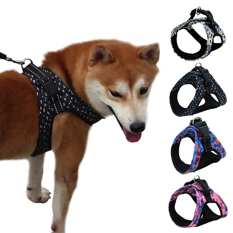 Stylish Secure Harness For Small To Medium Dogs